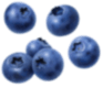 blueberry