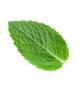 mintLeave